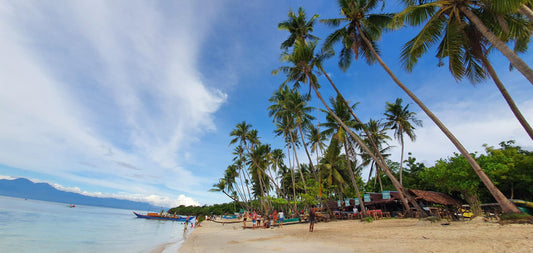 Siquijor – Things to See and Do on the Island of Witches (2023) | Project Goals