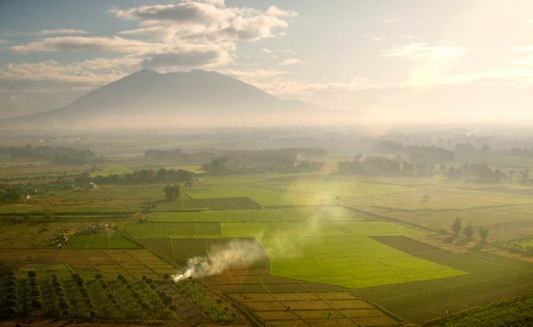 Discover Pampanga: The Culinary and Cultural Heart of Central Luzon