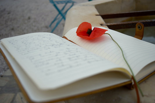 The Benefits of Keeping a Travel Journal