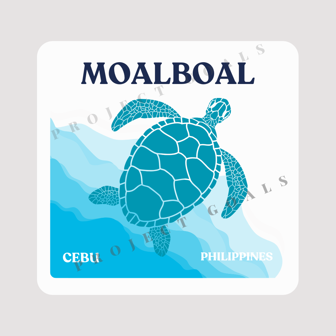 Moalboal Turtle