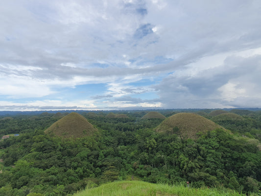 7 Must-Do Things in Bohol - A Tourist’s Guide
