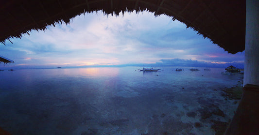 Moalboal Deep Dive - Things to Do in Cebu Island's Hidden Gem